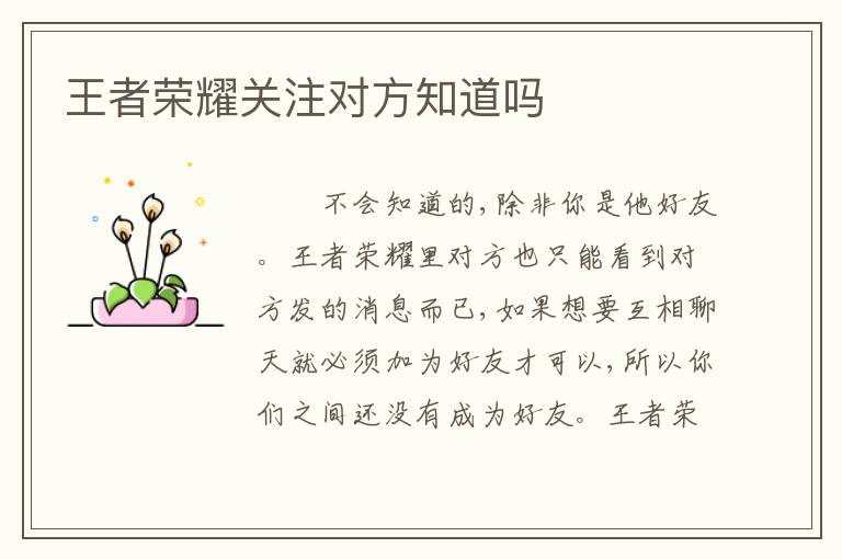 王者荣耀关注对方知道吗